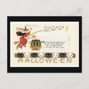 Halloween Cats and Witch Postcard