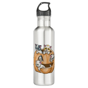 Halloween Cats Pumpkin 710 Ml Water Bottle