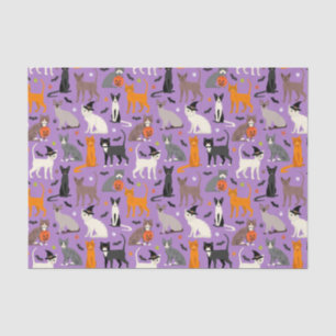 Halloween Cats Tissue Paper
