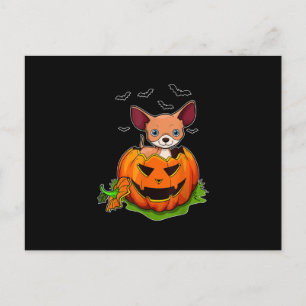 Halloween Chihuahua Dog Lovers Pumpkin Grunge Jack Holiday Postcard