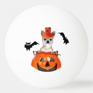 Halloween chihuahua dog ping pong ball