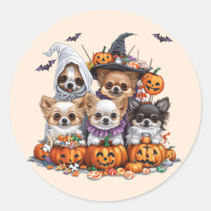 Halloween Chihuahua Dogs Classic Round Sticker