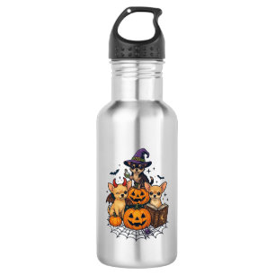 Halloween Chihuahua Dogs Pumpkins Witch Hat Spell 532 Ml Water Bottle