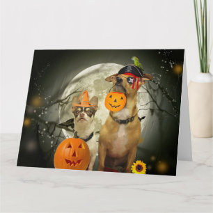 Halloween chihuahuas card