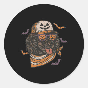 Halloween Cool Dog Boykin Spaniel Sungles Dog Mum  Classic Round Sticker