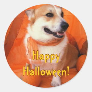 Halloween Corgi Stickers