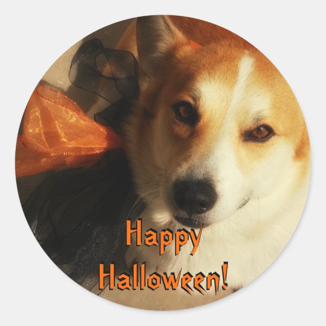 Halloween Corgi Stickers (Front)