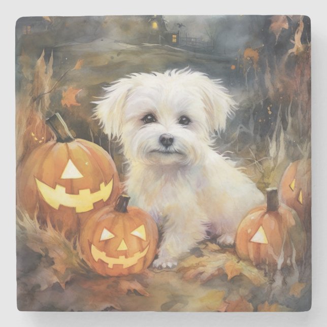Halloween Coton De Tulear With Pumpkins Scary Stone Coaster (Front)