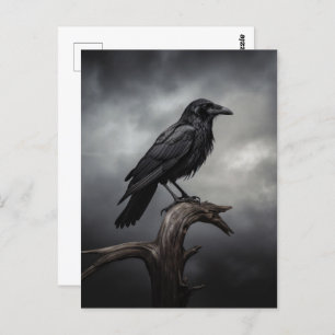 Halloween Crow  Postcard