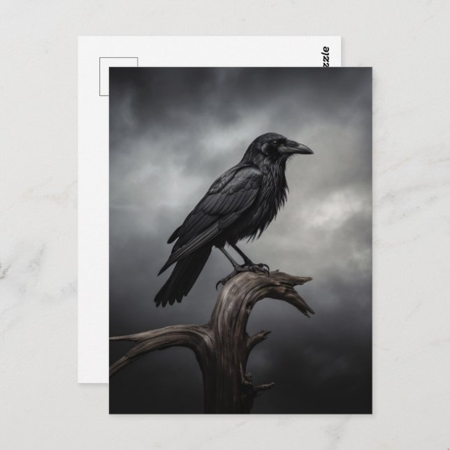 Halloween Crow  Postcard (Front/Back)