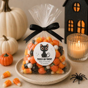Halloween Cute Black Cat – Trick or Treat Design Classic Round Sticker