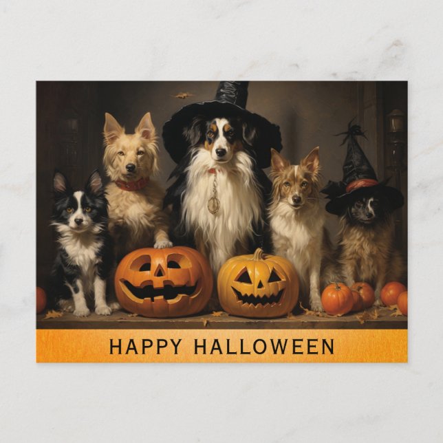 Halloween Cute Dog Witch Pumpkin Postcard (Front)