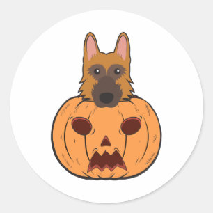 Halloween Cute German Shepherds Stuck In A Pumpkin Classic Round Sticker