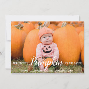 Halloween Cutest Pumpkin in the Patch Holiday Card