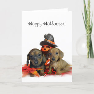 Halloween Dachshund puppies Card