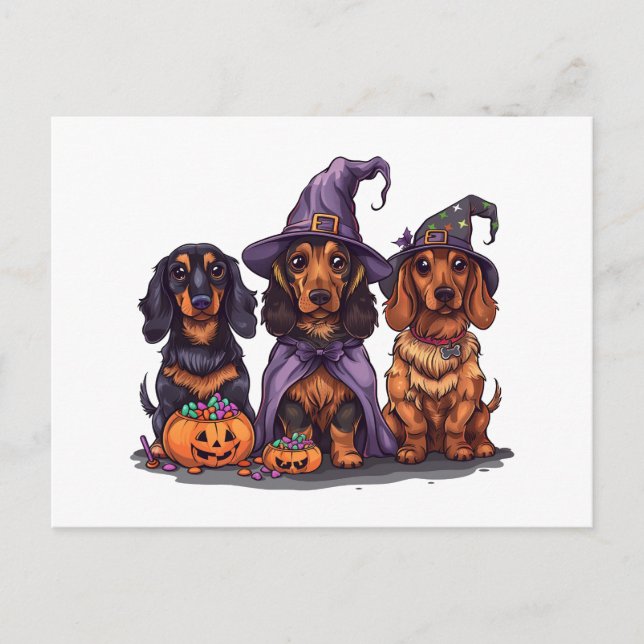 Halloween Dachshund Witch Dogs Postcard (Front)