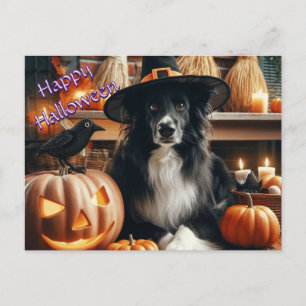 Halloween Dog and Jack O Lantern  Holiday Postcard