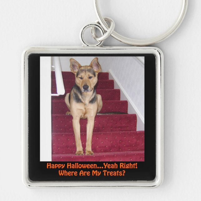 Halloween Dog and No Treats Key Ring (Front)