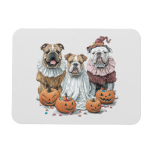 Halloween English Bulldogs Pumpkin Magnet