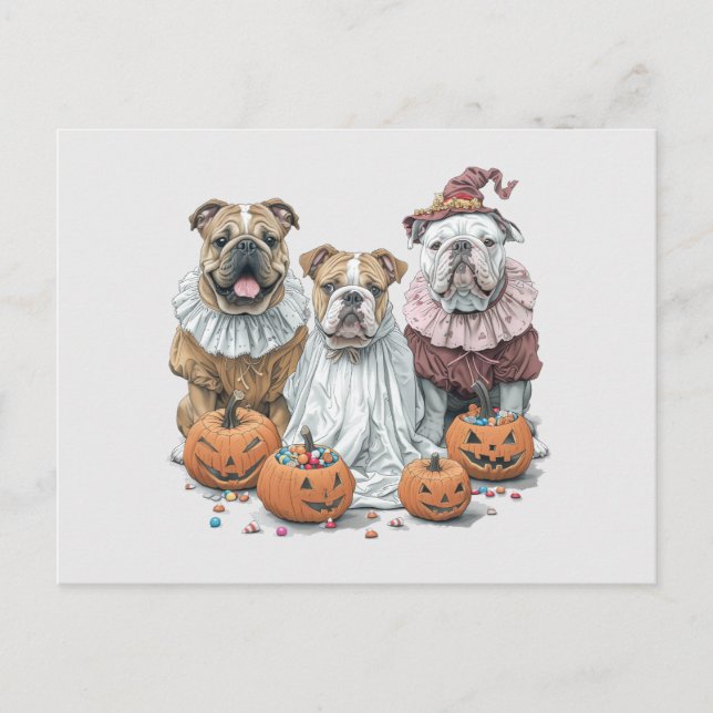 Halloween English Bulldogs Pumpkin Postcard (Front)
