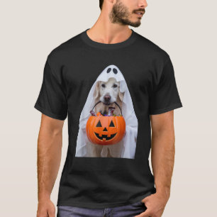 Halloween English Cream Golden Retriever Pumpkin D T-Shirt