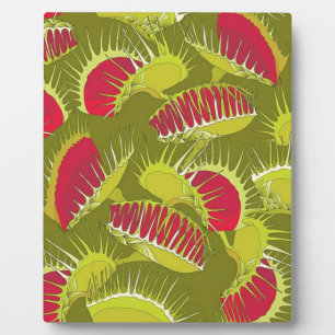 halloween fly trap plaque