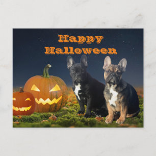 Halloween French Bulldogge postcard