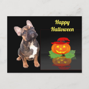 Halloween French Bulldogge postcard