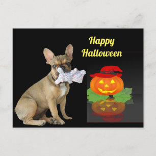Halloween French Bulldogge postcard
