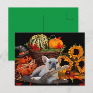 Halloween French Bulldogge postcard