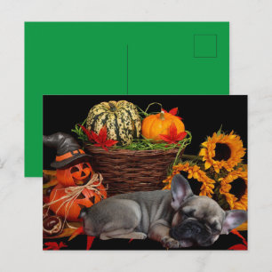 Halloween French Bulldogge postcard