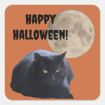 Halloween Full Moon Black Cat