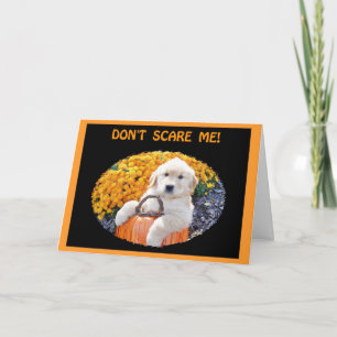 Halloween Funny Puppy Witch T-Shirts & Gift Items Card