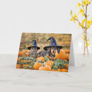 Halloween Funny with Cute Owl and Dachshund Card