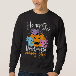 Halloween Gender Reveal He Or She Cousin Coming Bo Sweatshirt