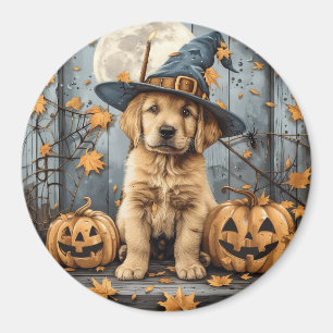 Halloween Golden Retriever Puppy Jack O Lanterns Magnet