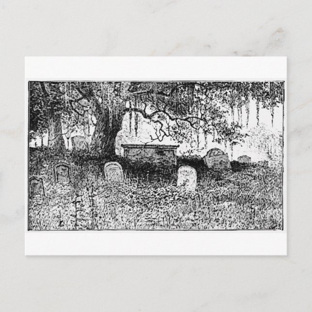 Halloween Graveyard Scene Postcard (Front)