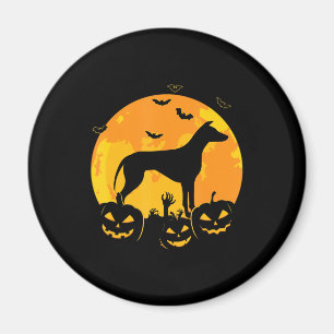 halloween greyhound jack  lantern puppy pumpkin magnet