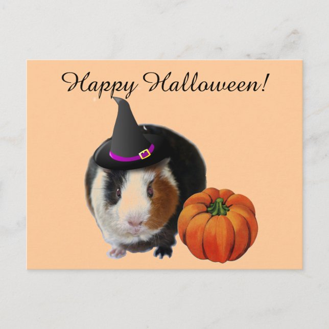 Halloween Guinea Pig Postcard (Front)