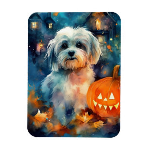 Halloween Havanese With Pumpkins Scary Magnet