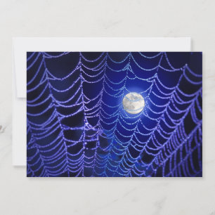 Halloween  Invitations