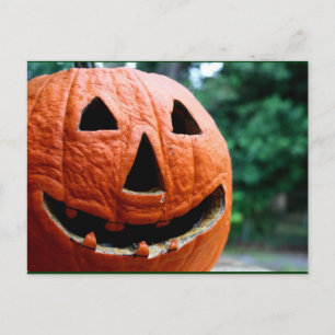 Halloween Jack O Lantern close up Postcard