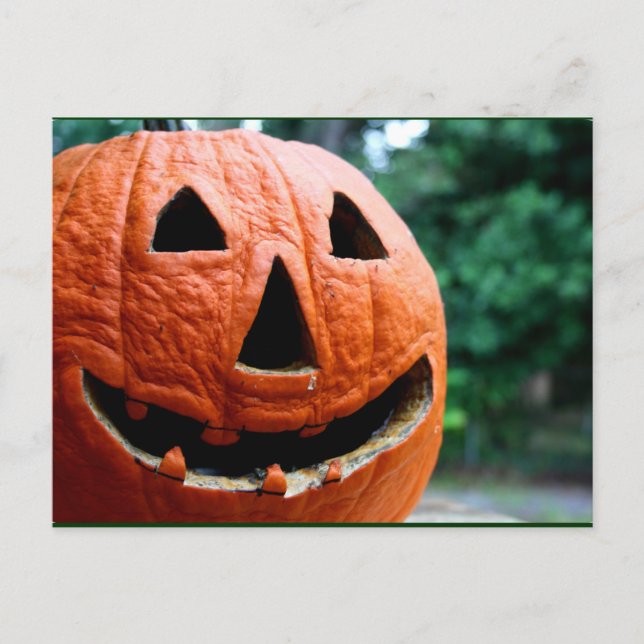 Halloween Jack O Lantern close up Postcard (Front)