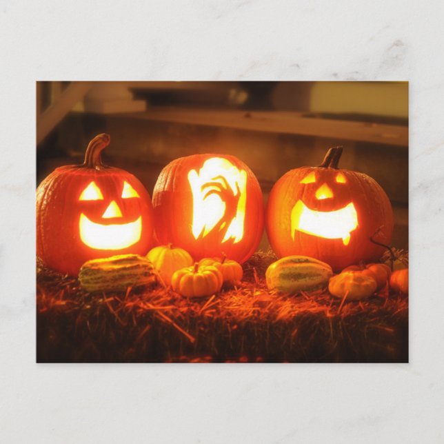 Halloween Jack O Lantern Postcard (Front)