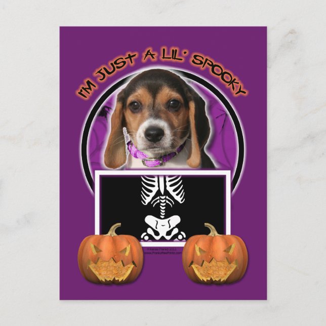 Halloween - Just a Lil Spooky - Beagle Postcard (Front)
