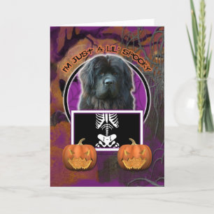 Halloween - Just a Lil Spooky - Newfoundland Card