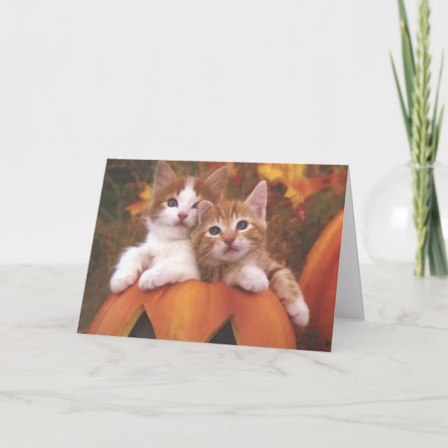 Halloween Kitties Card (Front)