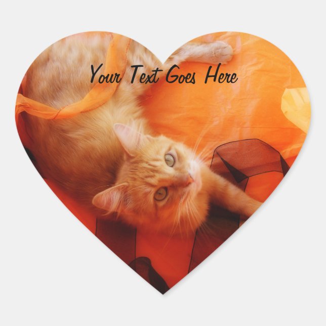Halloween Kitty Heart Stickers (Front)