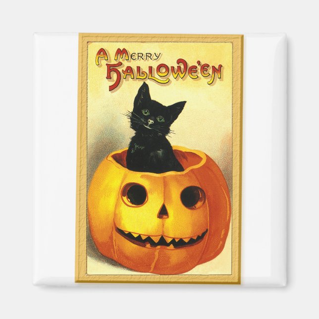 Halloween Kitty Sitting in Jack O Lantern Magnet (Front)