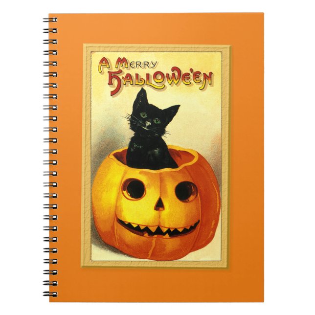 Halloween Kitty Sitting in Jack O Lantern Notebook (Front)